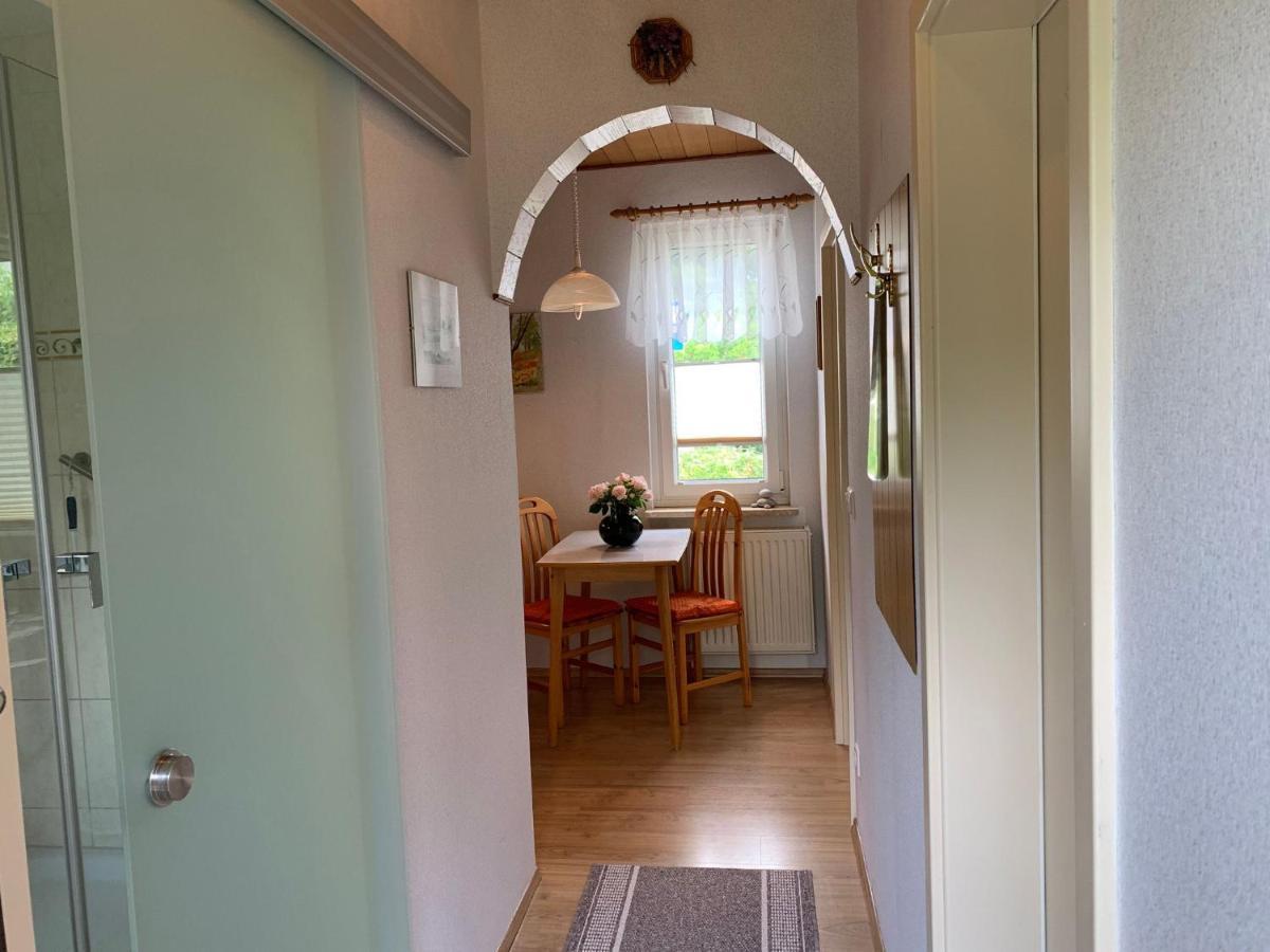 Ferienhaus Seeblick ساسنيتز المظهر الخارجي الصورة